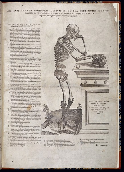 Skeleton contemplating a skull