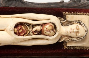 view Ivory anatomical model of a pregnant female