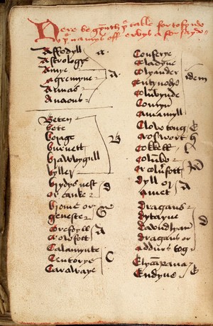 view Page of Gothic text from a 15th century Leech-Book