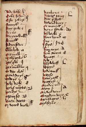 view Page of Gothic text from a 15th century Leech-Book