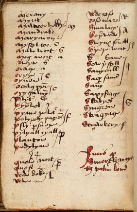 Page of Gothic text from a 15th century Leech-Book