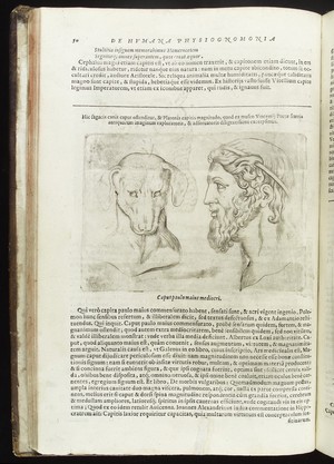 view Illustration emphasizing the ancient pseudo-science of physiognomy which tries to determine a man's character from his outward resemble to animals. In this illustration is shown the traits of a male and an dog