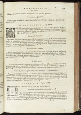 Page of text emphasizing the ancient pseudo-science of physiognomy which tries to determine a man's character from his outward resemble to animals