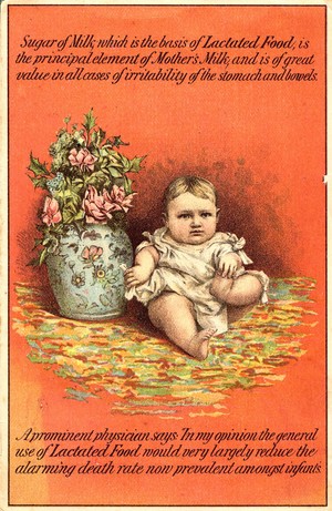 view Sugar of Milk, which is the basis of lactated food... (Burlington, Vt.): Wells & Richardson, Trade Card