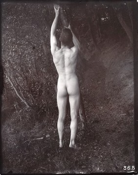 A man posing naked, with his back to the camera, holding on to a branch of a tree.