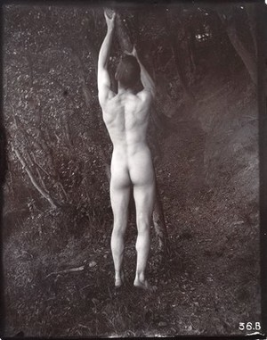 view A man posing naked, with his back to the camera, holding on to a branch of a tree.