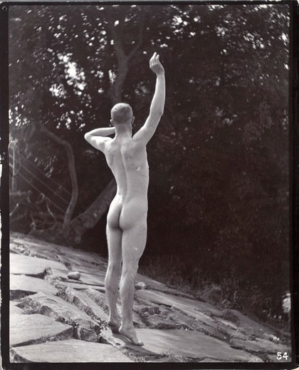 A man posing naked, standing with his back to the camera on a rocky outcrop in a leafy landscape.