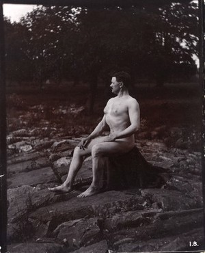 view A man posing naked, seated on a rocky outcrop in a leafy landscape.