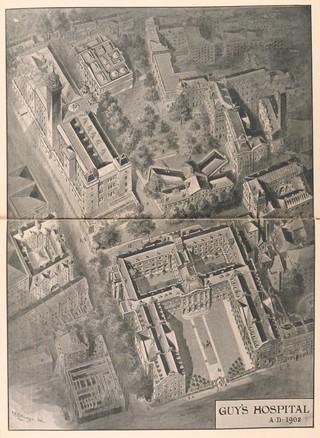 Guy's Hospital 1724-1902 : a tribute to its founder and a record of its work.