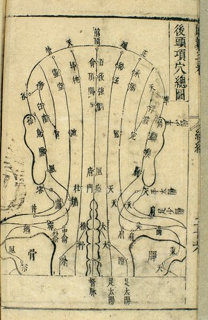 view Acupuncture chart of back of head, 17th C. Chinese woodblock