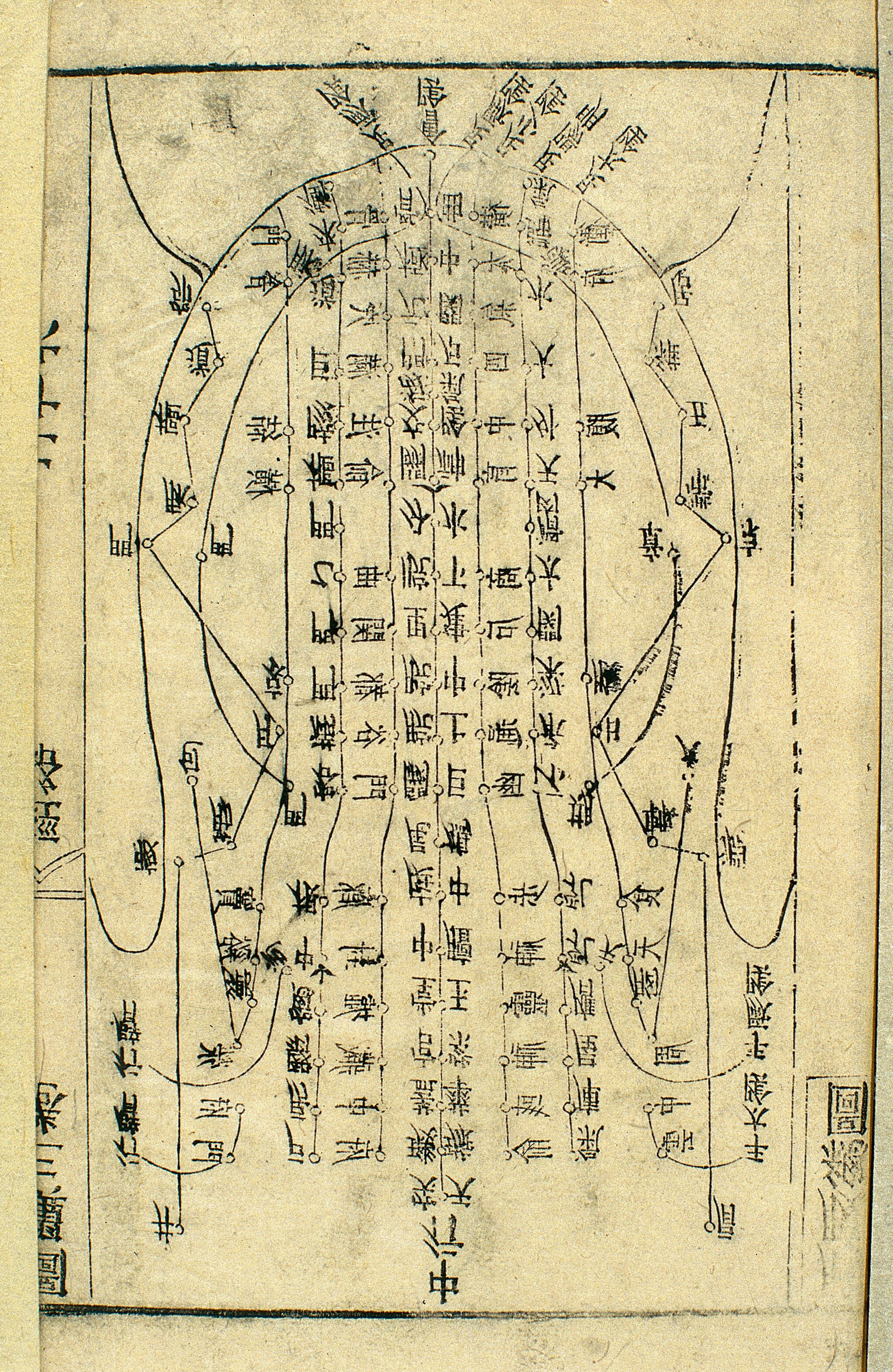 Abdominal Acupuncture Chart