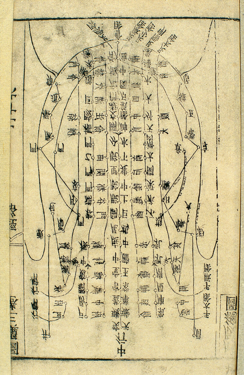 Pontos meridianos — Shiatsu