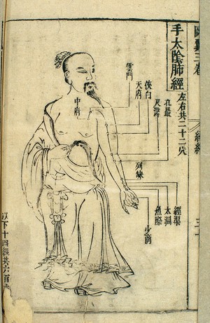 view 17th C Chinese acupuncture chart, lung channel of hand taiyin