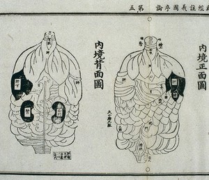 view Internal organs, from the Daoist Canon, 15th century Chinese