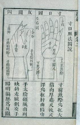 Cunkou pulse palpation, Chinese woodcut, 1817