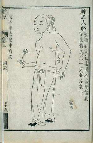 view Great tributary channel of the spleen, Chinese woodcut, 1817