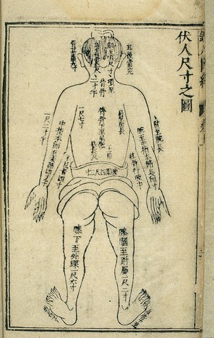 view Body measurements, back view, Chinese woodcut, 1443