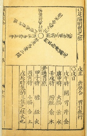 Stomach channel of foot yangming, Chinese woodcut, Ming