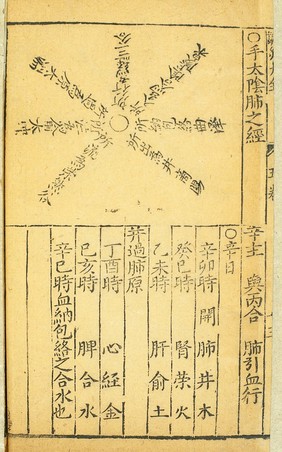 Lung channel of hand taiyin, Chinese woodcut, Ming period