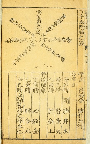 view Lung channel of hand taiyin, Chinese woodcut, Ming period