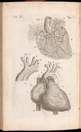 The anatomy of humane bodies epitomized. Wherein all the parts of man's body with their actions and uses, are succinctly described, according to the newest doctrine of the most accurate and learned modern anatomists / By a Fellow of the College of Physicians, London [i.e. T. Gibson].