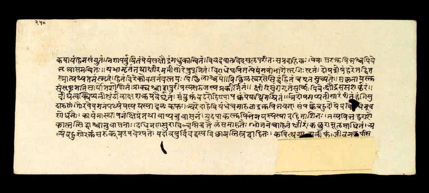 Page of text from the Susrutasamhita, an ayurvedic textbook, on various surgical procedures and surgical instruments. The text presents itself as the teachings of Dhanvantari, King of Kasi (Benares) to his pupil Susruta.