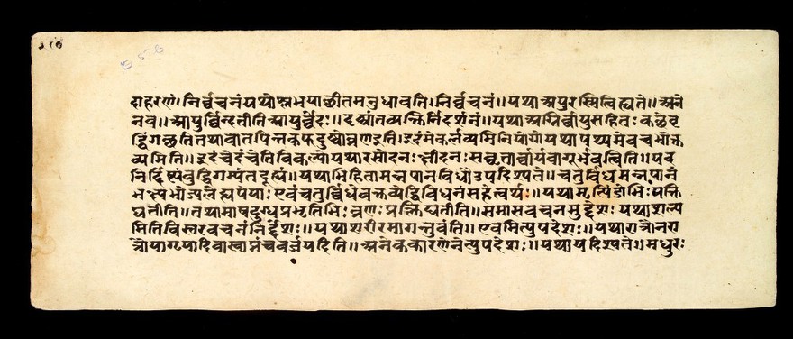 Page of text from the Susrutasamhita, an ayurvedic textbook, on various surgical procedures and surgical instruments. The text presents itself as the teachings of Dhanvantari, King of Kasi (Benares) to his pupil Susruta.