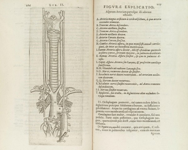 Casp. Bartholini ... Institutiones anatomicae, novis recentiorum opinionibus et observationibus, quarum innumerae hactenus editae non sunt, figurisque secundo auctae / ab auctoris filio Thoma Bartholino movendo.