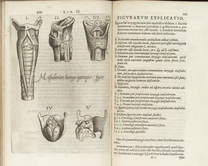 Casp. Bartholini ... Institutiones anatomicae, novis recentiorum opinionibus et observationibus, quarum innumerae hactenus editae non sunt, figurisque secundo auctae / ab auctoris filio Thoma Bartholino movendo.