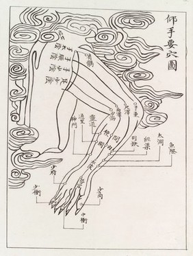 Acupuncture points and meridians. The arm.