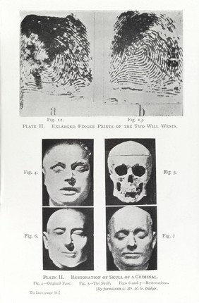 The expert witness : and the applications of science and of art to human identification, criminal investigation, civil actions & history / by C. Ainsworth Mitchell.