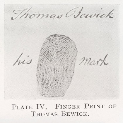 The expert witness : and the applications of science and of art to human identification, criminal investigation, civil actions & history / by C. Ainsworth Mitchell.