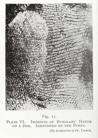 The expert witness : and the applications of science and of art to human identification, criminal investigation, civil actions & history / by C. Ainsworth Mitchell.