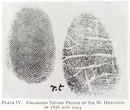 The expert witness : and the applications of science and of art to human identification, criminal investigation, civil actions & history / by C. Ainsworth Mitchell.