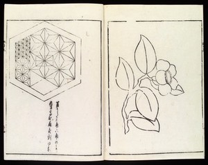 view Japanese designs of a flower & hexagon