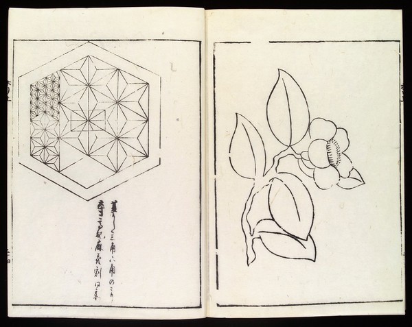Japanese designs of a flower & hexagon