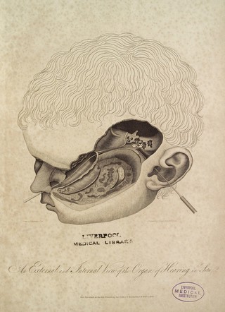 An engraved representation of the anatomy of the human ear. To which are added surgical remarks ... and a synoptic table of the diseases of the ear. Exhibiting in one view the external and internal parts of that organ in situ / [Thomas Buchanan].