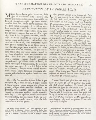Dissertatio de generatione et metamorphosibus insectorum Surinamensium: in qua, praeter vermes et erucas Surinamenses, earumque ... metamorphosin, plantae, flores et fructus, quibus vescuntur, et in quibus fuerunt inventae, exhibentur. His adjunguntur bufones, lacerti, serpentes, araneae, aliaque ... istius regionis animalcula ... Accedit appendix transformationum piscium in ranas, et ranarum in pisces. Dissertation sur la génération et les transformations des insectes de Surinam. Dans laquelle on traite des vers et des chenilles de Surinam, des plantes, fleurs, & fruits dont ils vivent & dans lesquels on les a trouvez. On y parle aussi des crapaux, lezards, serpens, aragnées & autres petits animaux du même païs, peints sur les lieux d'après nature, & depuis gravez avec beaucoup de soin.On y a joint un traité des changemens des poissons en grenouilles & des grenouilles en poissons / [Maria Sibylla Merian].