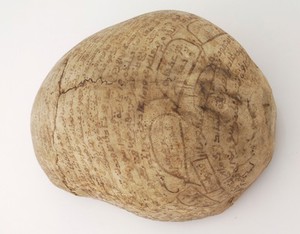 view Human skull inscribed with prayers for the deceased. Collected by Robert Baden Powell's Asante (Ghana) expedition 1895