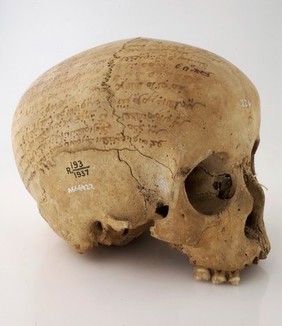 Human skull inscribed with prayers for the deceased. Collected by Robert Baden Powell's Asante (Ghana) expedition 1895