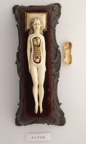 Ivory anatomical model of a pregnant female with removable parts possibly used by obstetric specialists or midwives to provide reassurance for pregnant women. Possibly German