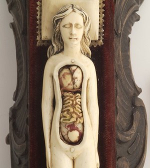 view Ivory anatomical model of a pregnant female with removable parts possibly used by obstetric specialists or midwives to provide reassurance for pregnant women. Possibly German