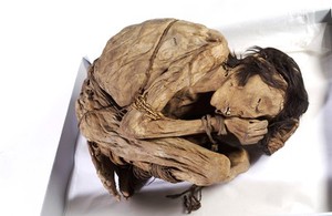 view Peruvian mummified male, c.1200-1400