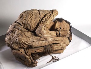 view Peruvian mummified male, c.1200-1400