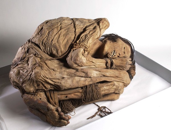 Peruvian mummified male, c.1200-1400