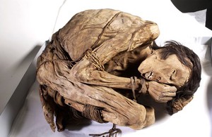 view Peruvian mummified male, c.1200-1400