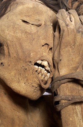Peruvian mummified male, c.1200-1400