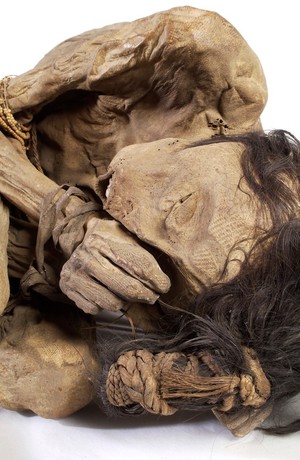 view Peruvian mummified male, c.1200-1400