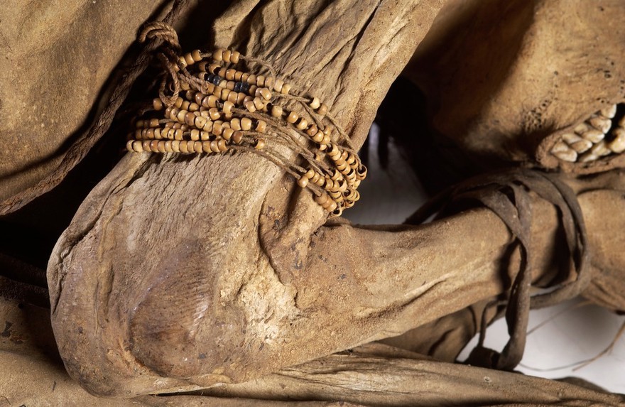 Peruvian mummified male, c.1200-1400