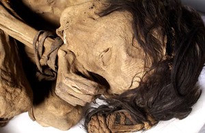 view Peruvian mummified male, c.1200-1400